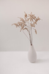 Beige dry flowers in a white vase. White table. 