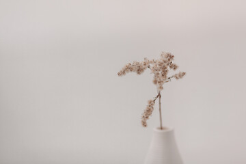 Beige dry flowers in a white vase. White table. 