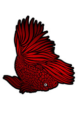 beautiful  design vector beauty of colorful betta fish with beautiful fins for wallpaper or clothing