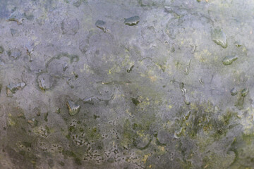 Close up of watermelon fruit skin. Ripe Watermelon surface with drops close-up. Background, texture.