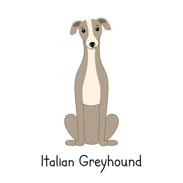 Greyhound cartoon on sale