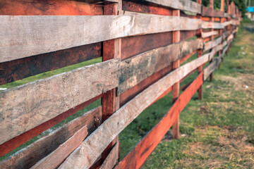 cow barn fence