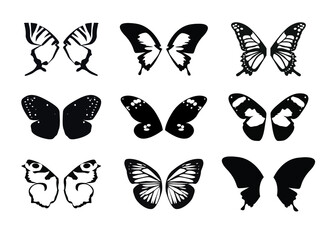 Set Butterfly Wings. Vector Illustration.