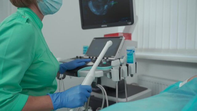 Gynecologist office. Female doctor operating ultrasound scanner. Transvaginal ultrasound scanner of internal organs of pelvis. Female health concept. Diagnostics. Sonography. Obstetrician office.