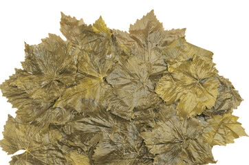 Process of making stuffed Graped leaves with olive oil, selective focus. It is called "Yaprak Sarma", or "Dolma", "Salamura Yaprak" in Turkish. It is prepared with ground beef, rice and tomato paste.