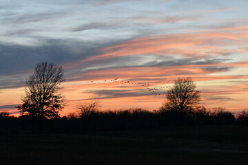 Fototapeta na wymiar Colorful Sunset Over a Field