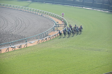 有馬記念ってどこでやってるの？
