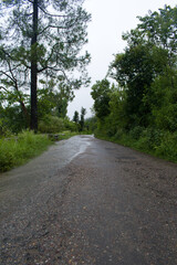 Obraz premium Beautiful straight road and greenery in monsoon rainy season