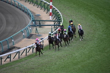 中山競馬場