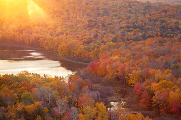 High angle view of trees in autumn color and a lake at sunrise - obrazy, fototapety, plakaty