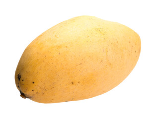 Graphic resources: isolated object fruit of a plant of the genus Mango of the Anacardia family
