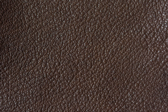 A close-up of tanned deer leather. © An artisan