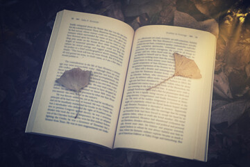 本と枯葉 読書イメージ