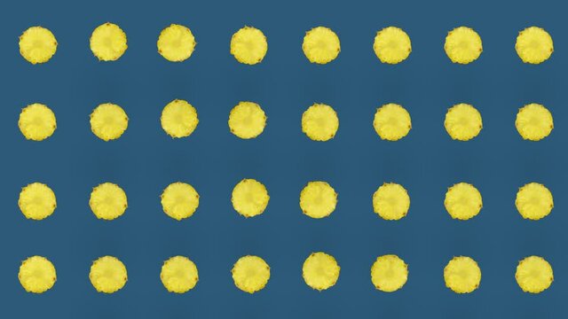 Colorful fruit pattern of fresh pineapple. Seamless pattern with pineapple sliced. Realistic animation. 4K video motion