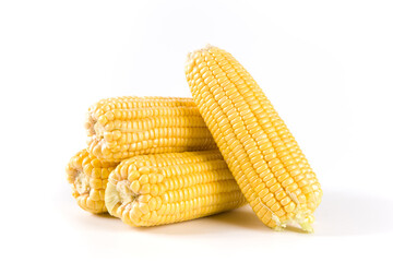 fresh corn cobs isolated on white background
