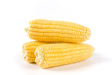 fresh corn cobs isolated on white background