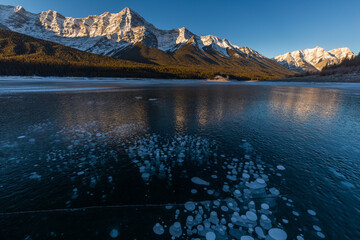 Frozen methane bubbles under ice of Spray lake, Canada