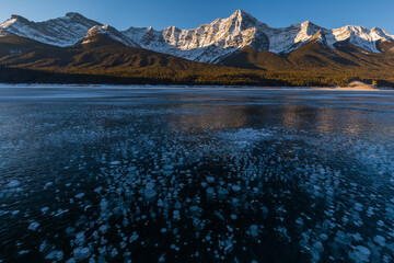 Frozen methane bubbles under ice of Spray lake, Canada