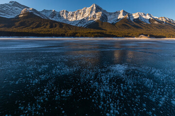 Frozen methane bubbles under ice of Spray lake, Canada