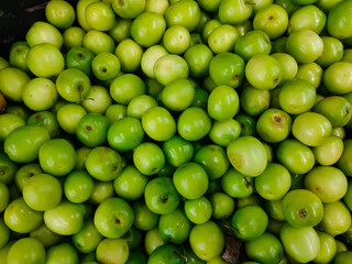 The greengages are a group of cultivars of the common European plum. The first true greengage came from a green-fruited wild plum which originated in Iran. 