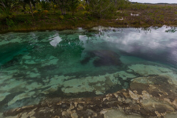 Bacalar rapids stromatolites, Mexico