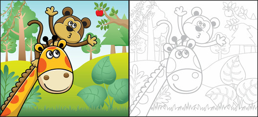 Cartoon of monkey climb giraffe's neck trying to pick fruit. Coloring book or page