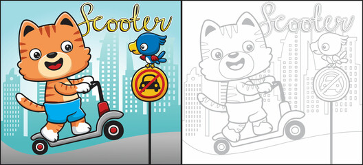 Cartoon of cat playing scooter with bird perch on traffic sign. Coloring book or page