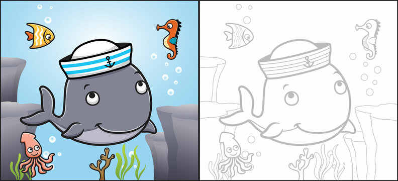 Cartoon of whale wearing sailor hat with fish, seahorse, squid. Coloring book or page