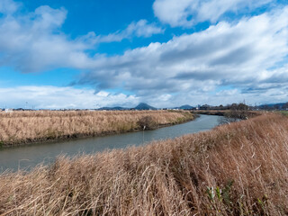 冬の川の風景　滋賀県草津市葉山川
