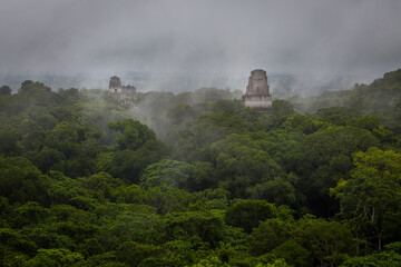 Panorama of Tikal National Park