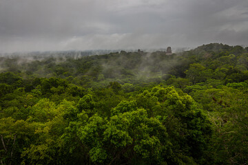 Fototapeta na wymiar Panorama of Tikal National Park