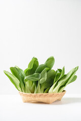 Bok choi (white cabbage) on a white background Ingredients in Asian Vegetarian and Healthy Food
