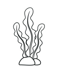 Underwater seaweed outline vector illustration clipart