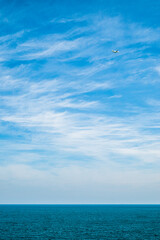 Obraz premium Go on a trip in the blue sky on a plane.