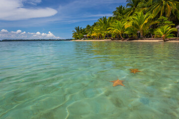 Starfish beach in bocas del toro, Panama, Central America