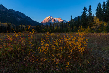 Fototapeta premium Mount Robson sunset in autumn