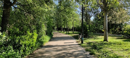 footpath in the park
