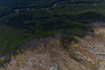 Aireal view of old wildfire boundary