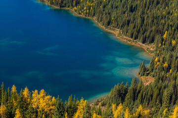 Aerial shot of coniferous and deciduous forest in autumn colors near a lake. Seasons changing,...