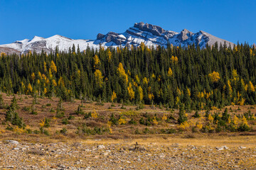Mountain rising above coniferous and deciduous forest in autumn colors. Seasons changing, concept, textured background.