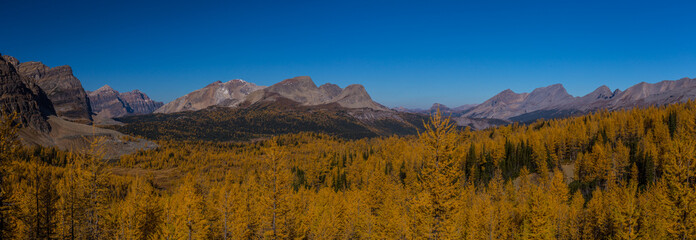 Nub peak and Sunburstpeak from wonder pass, Assiniboine park