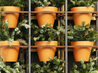 Metal stand with pots and flowers of spruce