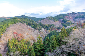 Fototapeta na wymiar 日本の山