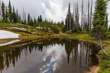 A view of an alpine lake in Revelstoke National Park British Columbia Canada