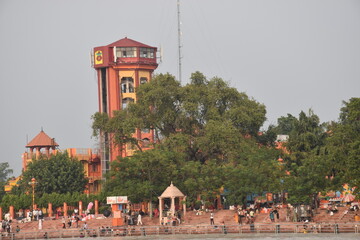 Ganges bank , with river tree and tower