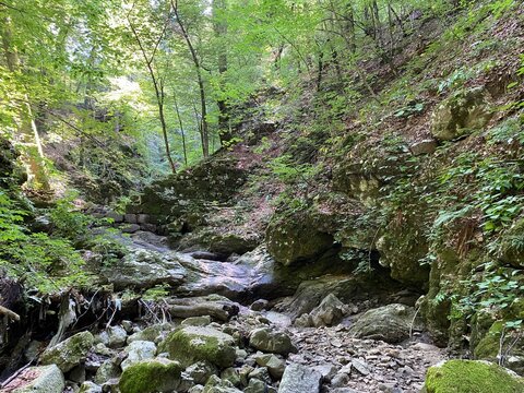 Dry bed of Delnički potok stream during summer and dry season, Delnice - Region of Gorski kotar, Croatia (Suho korito Delničkog potoka tijekom ljeta i su&scaron;ne sezone, Delnice - Gorski kotar, Hrvatska)