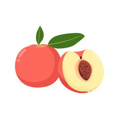 Flat vector of Peaches, Stone fruit family isolated on white background. Flat illustration graphic icon