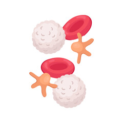 Blood Cells Isometric Composition