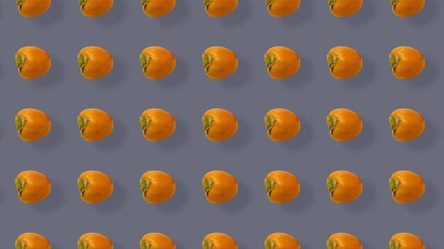 Colorful pattern of fresh orange persimmons. Top view. Seamless pattern with persimmon. Pop art design. Realistic animation. 4K video motion
