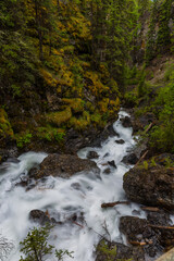 View of Sundance Canyon near Banff in Banff National Park, Alberta, Canada
